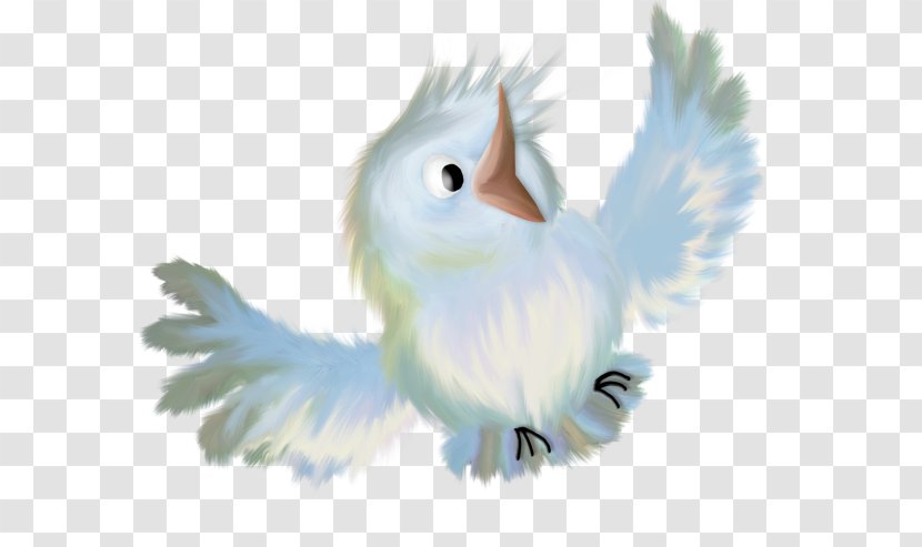 Bird - Feather Transparent PNG