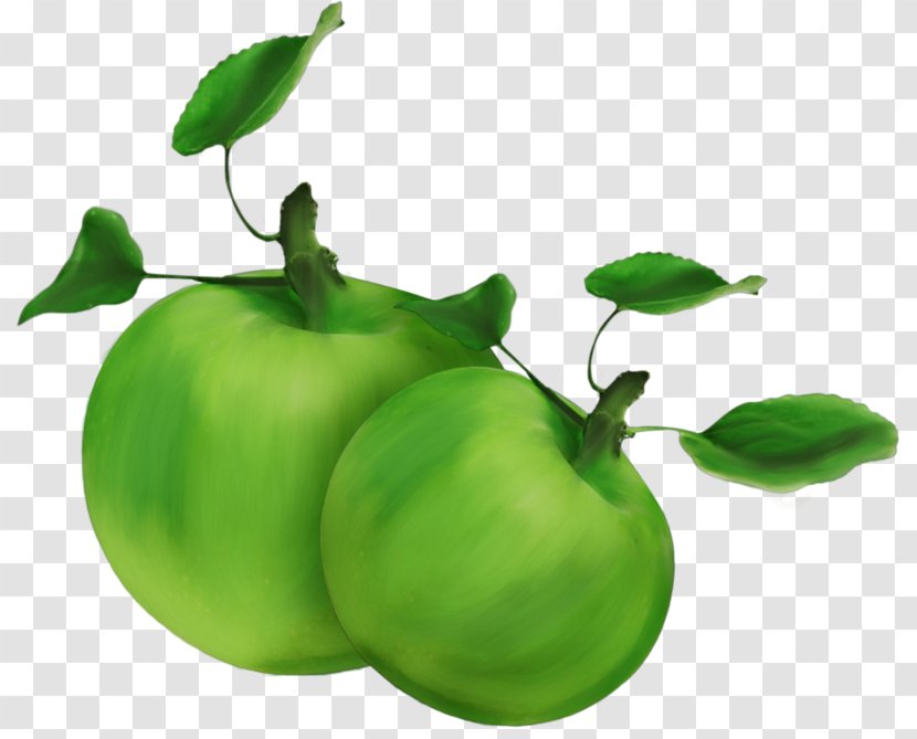 Apple Green Food Fruit Clip Art - Photography Transparent PNG