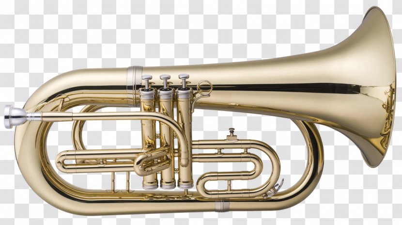 Cornet Euphonium Mellophone Trumpet Saxhorn - Tree Transparent PNG