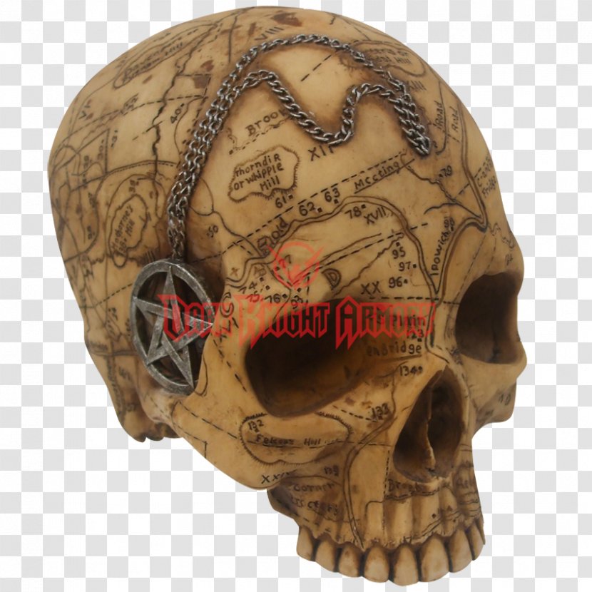 Salem Witch Trials Skull Witchcraft Wicca - Jaw Transparent PNG