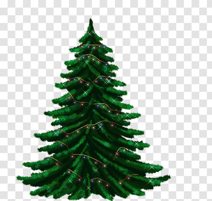 Christmas Tree Fir Guirlande De Noël Garland Transparent PNG