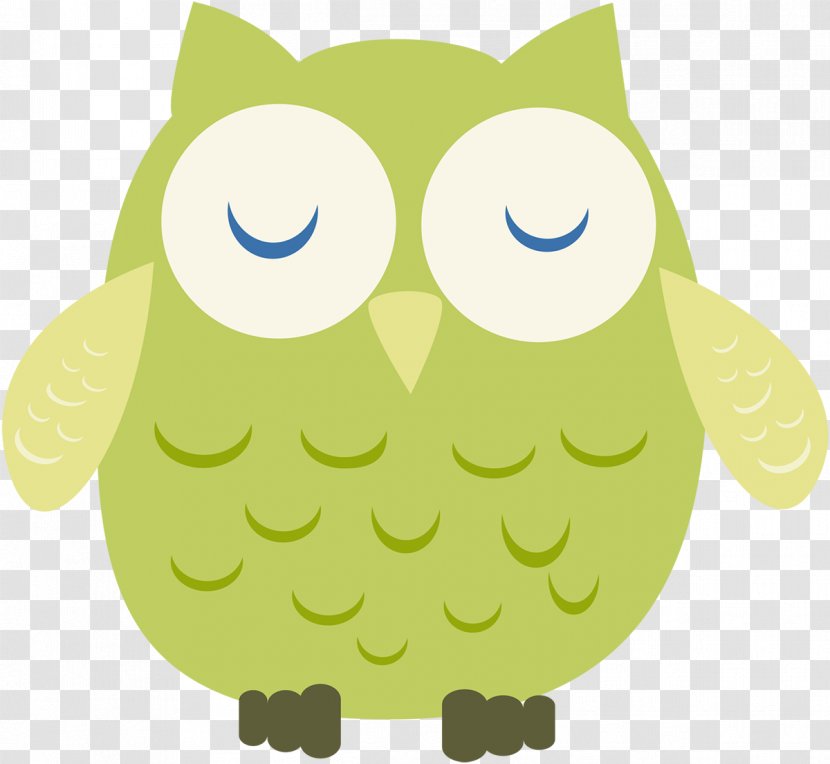 Blue Pink Color Little Owl - Green - Safari Transparent PNG