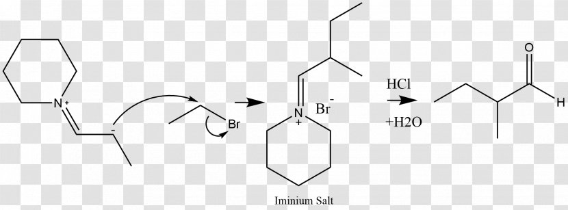 Brand White Point Angle - Black And Transparent PNG