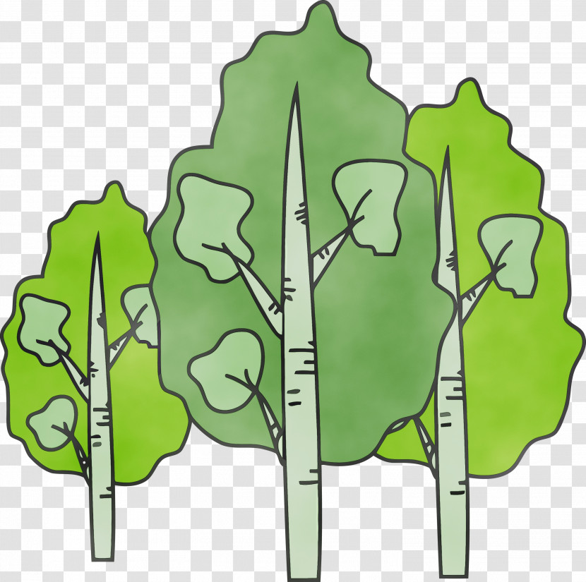 Green Leaf Plant Tree Transparent PNG