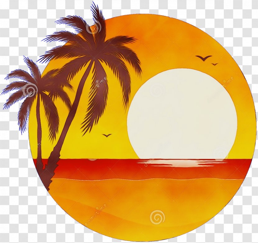 Coconut Tree Drawing - Arecales - Plant Transparent PNG