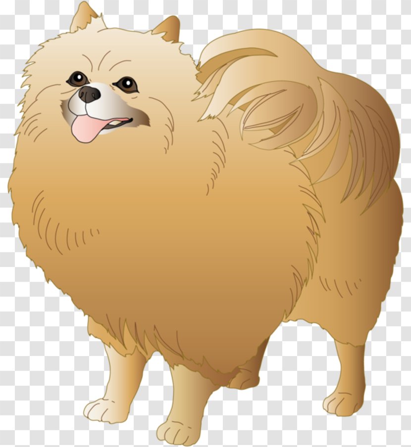 Dog Drawing - Snout - Volpino Italiano Toy Transparent PNG