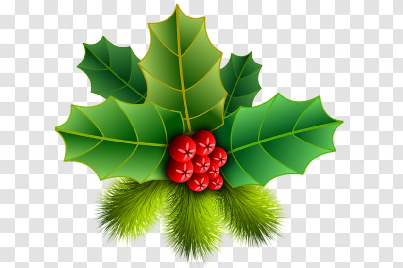 Drawing Christmas Tree - Fruit - Plane American Holly Transparent PNG