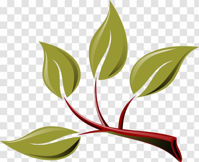 Branch Leaf Clip Art - Flower Transparent PNG