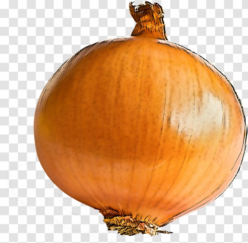 Orange - Calabaza - Food Allium Transparent PNG