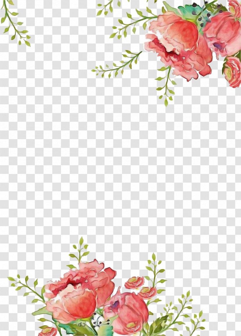 Flowers Bouquet - Garden Roses - Plant Pink Transparent PNG