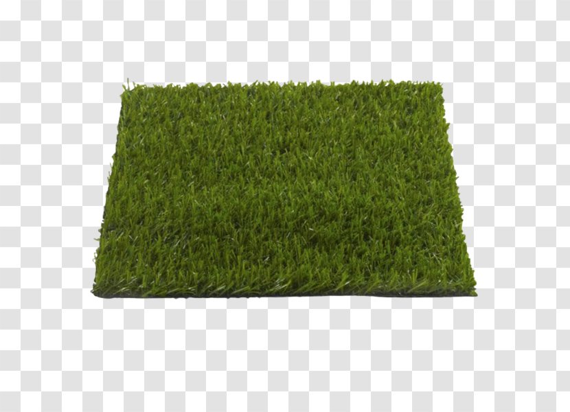 Artificial Turf Lawn Garden Furniture Toilet - Plant - Grass Transparent PNG