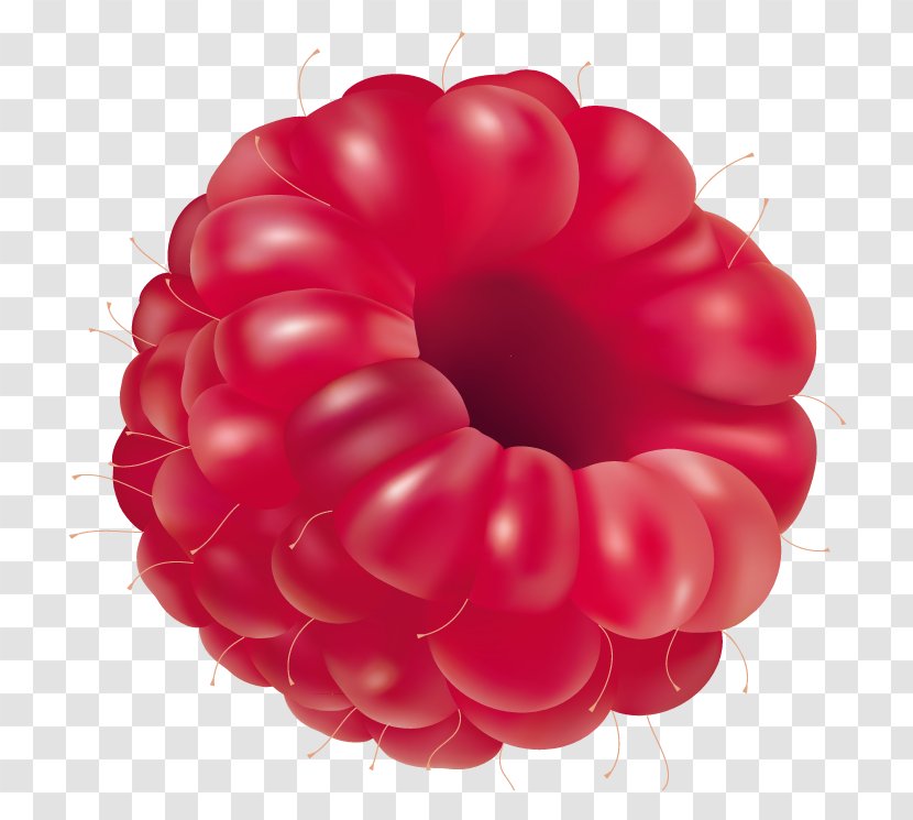 Raspberry Fruit Clip Art - Berry Transparent PNG