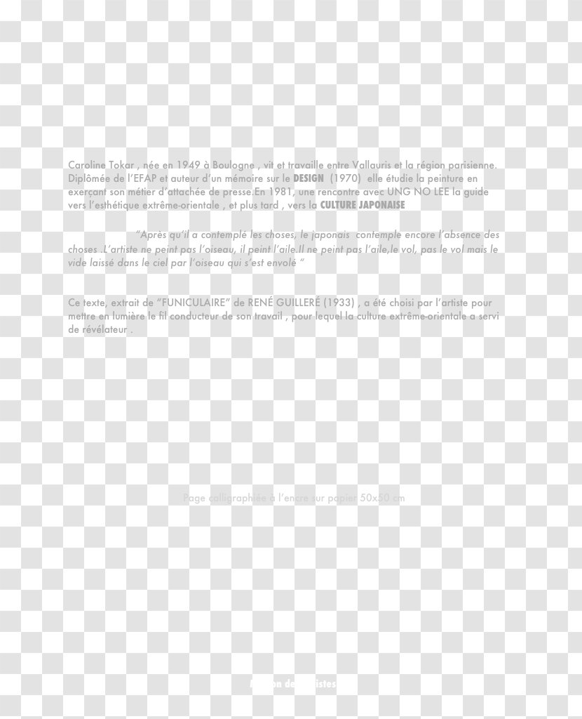 Document Product Design Line Angle Brand - Area Transparent PNG