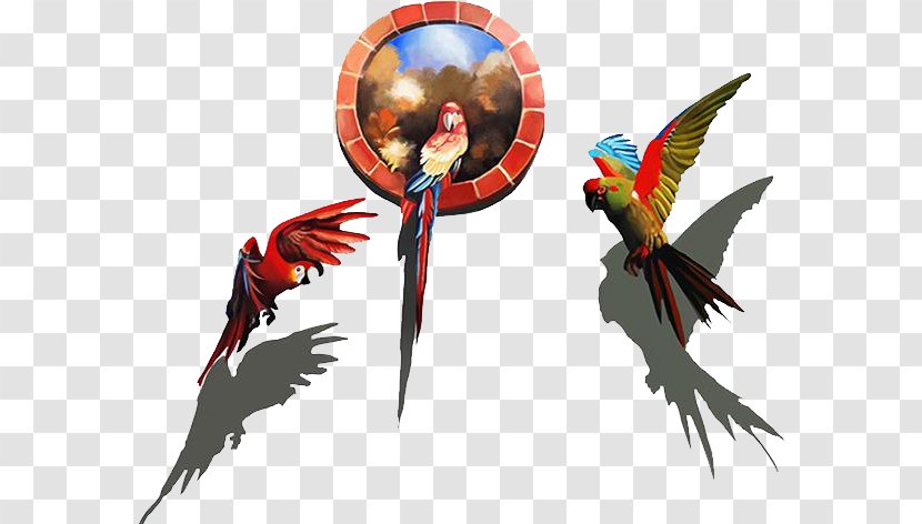 Visual Arts 3D Computer Graphics Mural Illustration - Anamorphosis - Parrot Transparent PNG