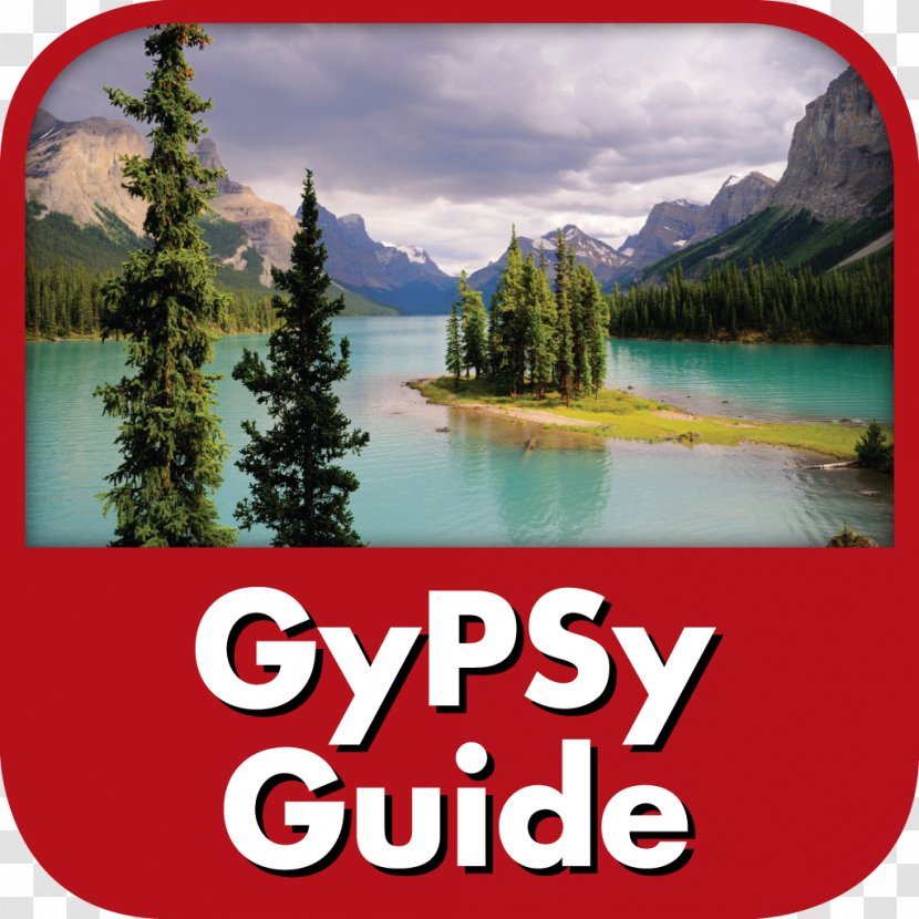 Hawaii Oahu The Pocket Guide To DSM-5 Diagnostic Exam GyPSy Maui - Gypsy - Android Transparent PNG