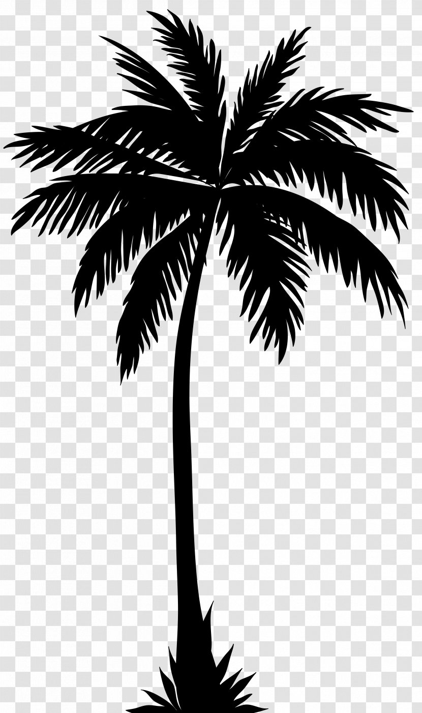 Arecaceae Silhouette Clip Art - Date Palm - Tree Image Transparent PNG
