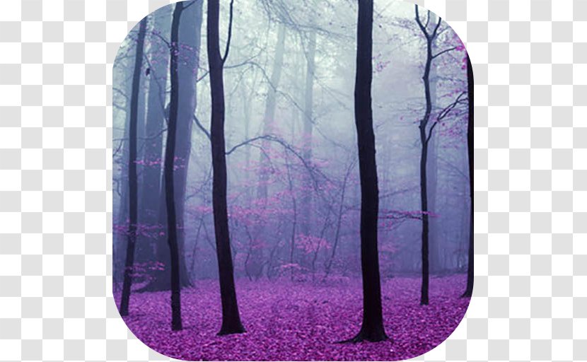 Magic Forest Tree Wood Biome - Violet Transparent PNG