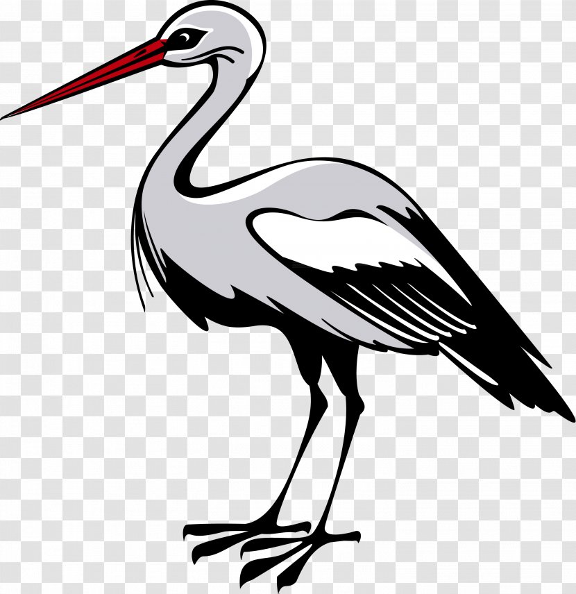 White Stork Oriental Symbol - Ciconiiformes Transparent PNG