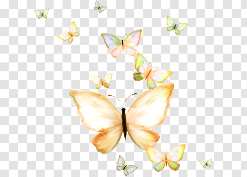 Butterfly Papillon Dog Nymphalidae Clip Art - Pollinator - Fresh Group Hand-painted Transparent PNG