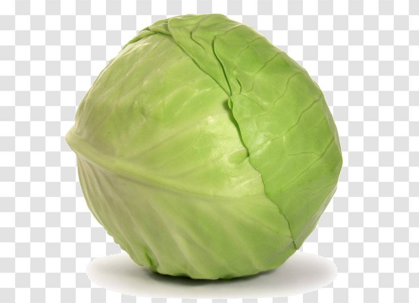 Cabbage Leaf Vegetable Torshi Green Transparent PNG
