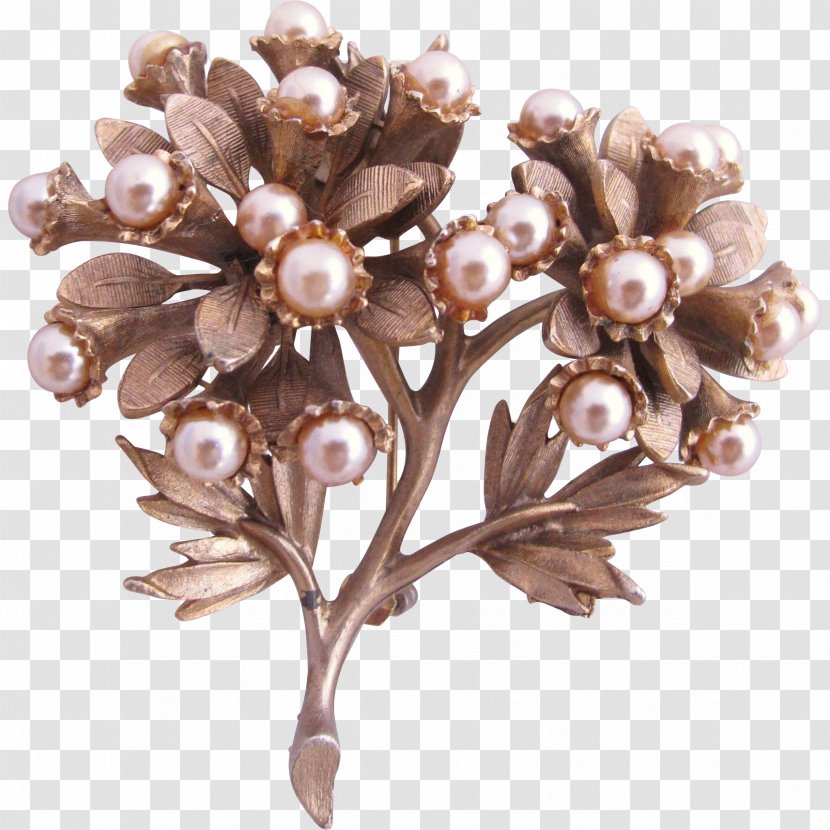 Imitation Pearl Brooch Jewellery Brown - Gold Transparent PNG
