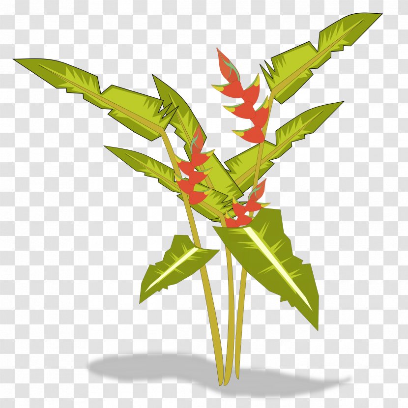 Bird Of Paradise Flower Heliconia Psittacorum Plant Clip Art - Flowerpot - PARADİSE Transparent PNG
