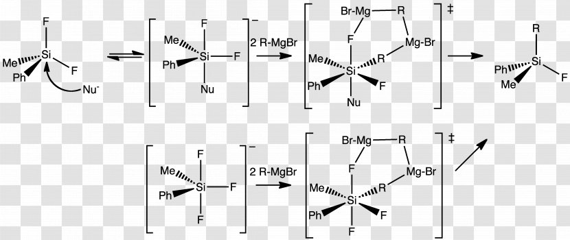 Hypervalent Molecule Main-group Element Valence Chemistry - Maingroup - Text Transparent PNG