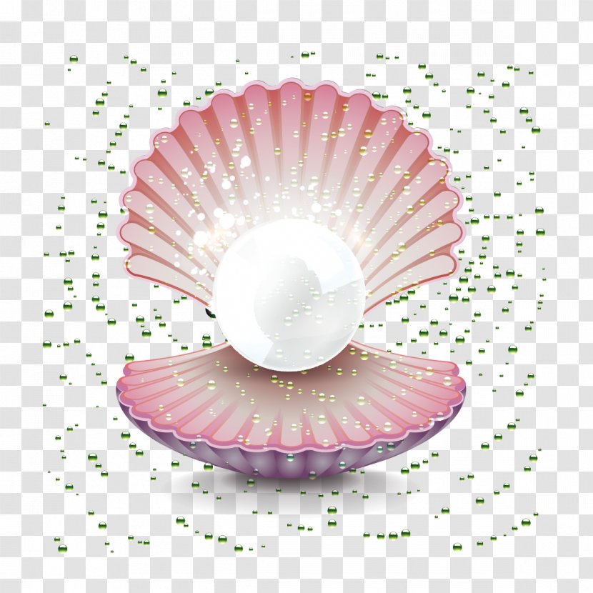 Oyster Pearl Seashell Gemstone Clip Art - Material - Shell Transparent PNG