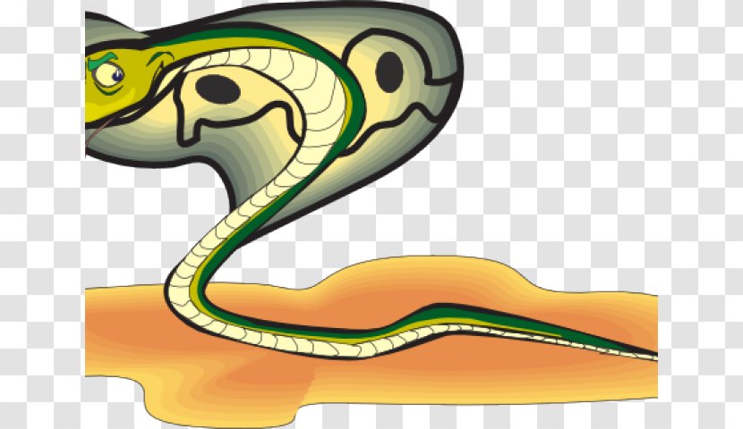 Snake Cartoon - Cobras - Mamba Scaled Reptile Transparent PNG
