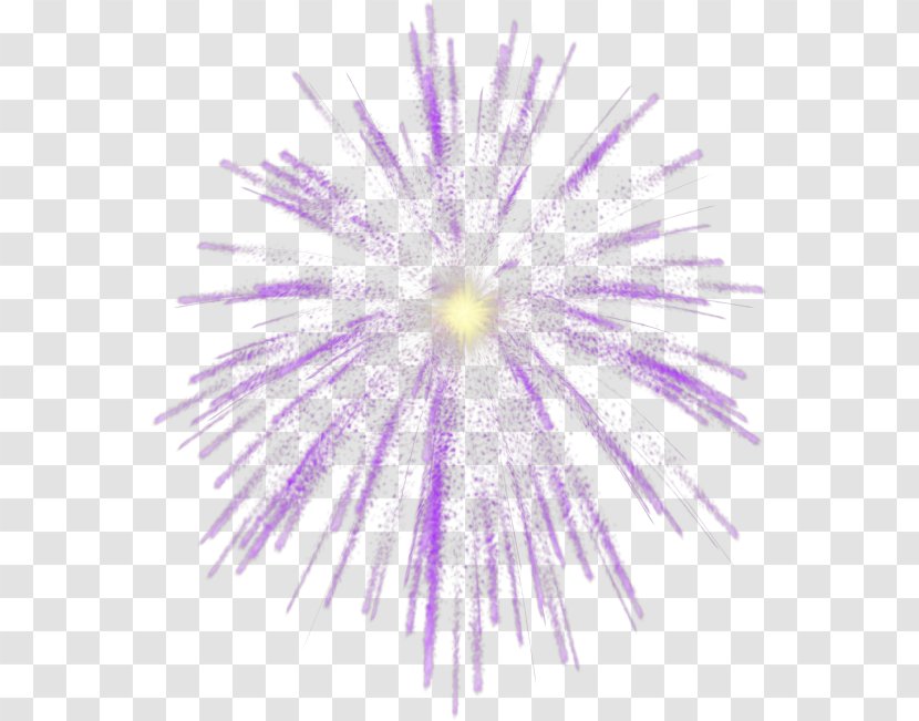 Fireworks Photography Clip Art - Lilac Transparent PNG