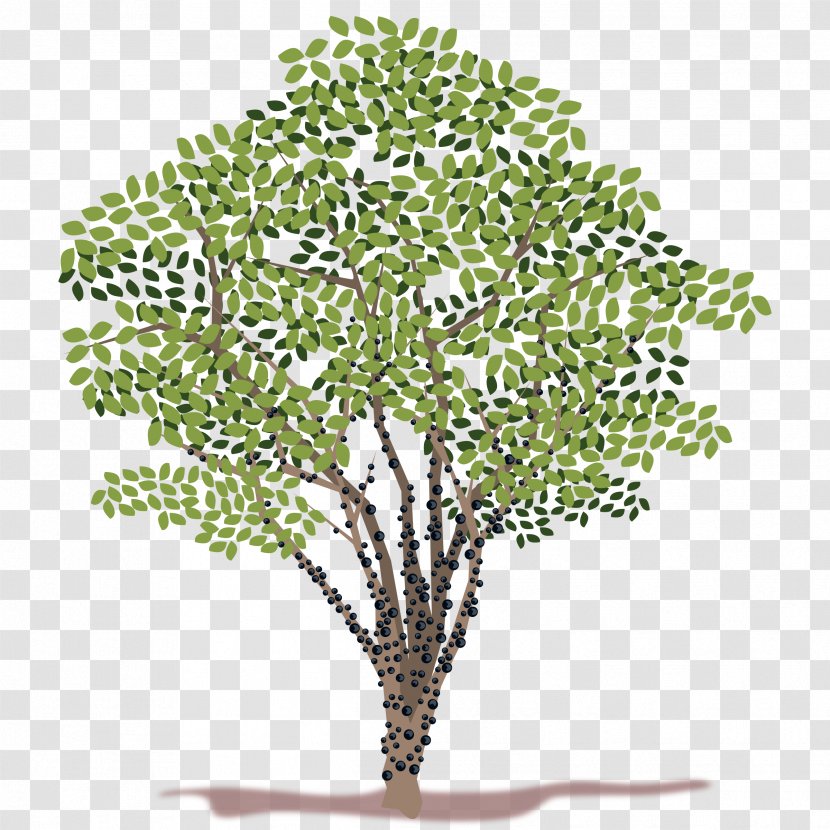 Tree Clip Art - Plant - Money Transparent PNG