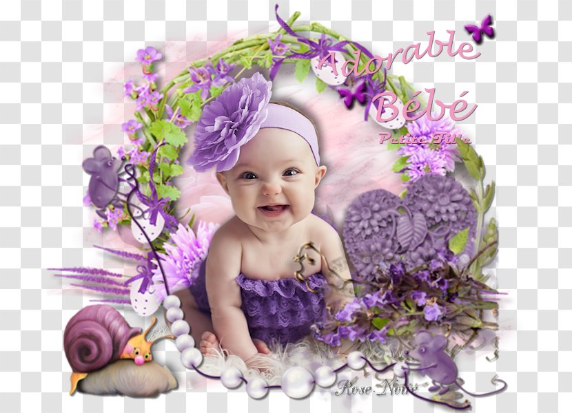 Floral Design Headpiece Picture Frames Petal Transparent PNG