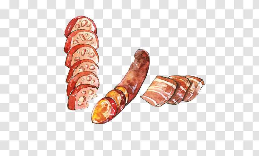 Sobrassada Mortadella Bacon Ham Cervelat - Meat Sausage Hand Painting Material Picture Transparent PNG