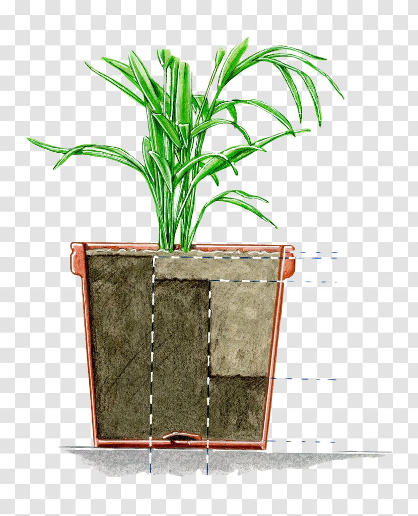 Earth Soil Horizon Flowerpot - Tree - Hand Painted Flower Pot Profile Transparent PNG