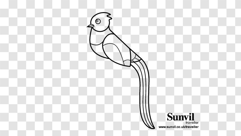 Guatemala Resplendent Quetzal Coloring Book Golden-headed - Black And White Transparent PNG