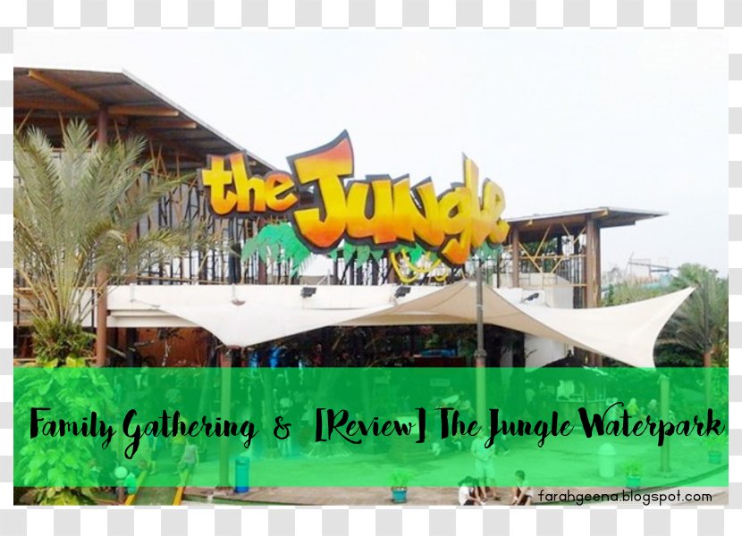 The Jungle Water Adventure Waterpark Park JungleLand Theme - Grass Transparent PNG