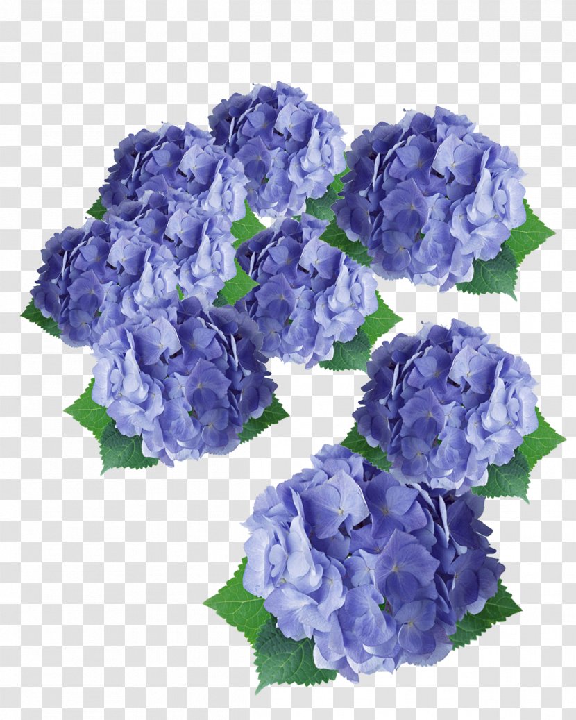 Flower Purple Hydrangea Floral Design - Flowers Transparent PNG