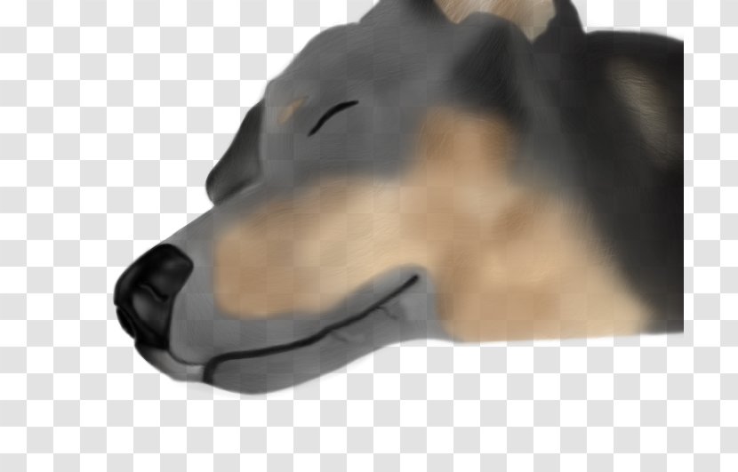 Dog Jaw Snout Transparent PNG
