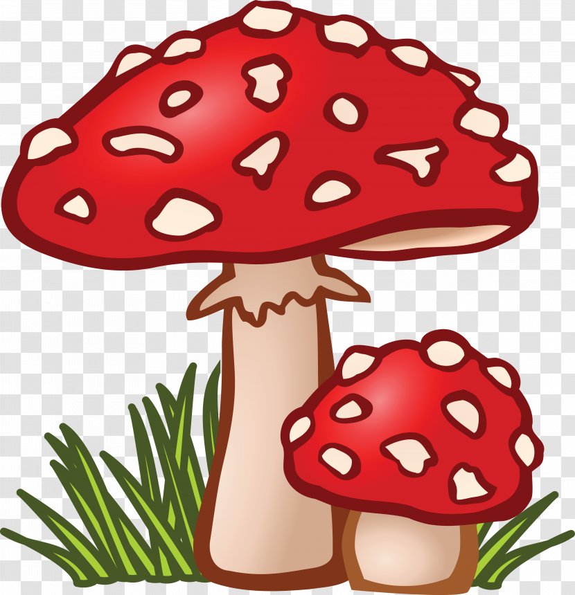 Mushroom Fungus Amanita Muscaria Clip Art - Mushrooms Transparent PNG