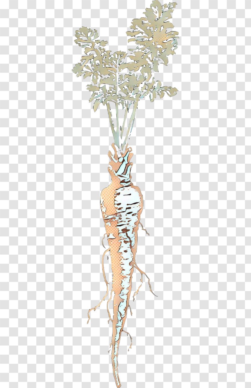 Flower Vintage - Plant Stem - Wild Carrot Transparent PNG