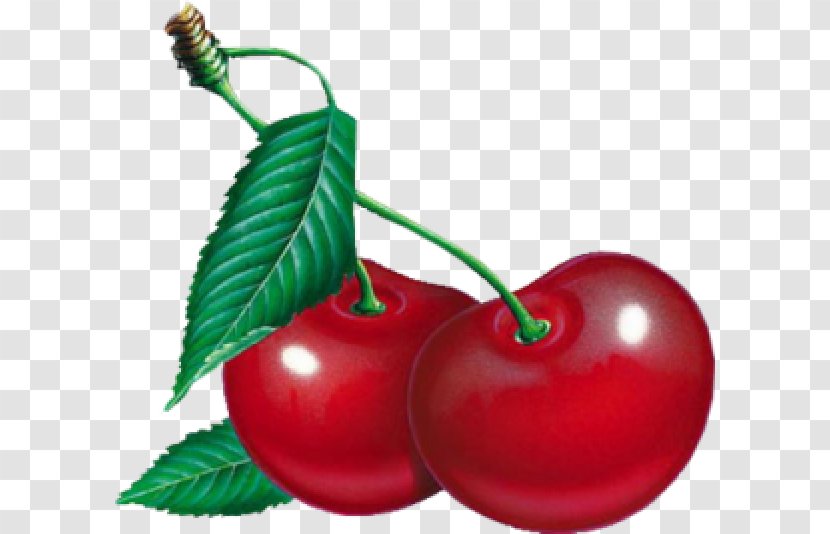 Transparency Image Clip Art Cherries - Resolution - Cherry Transparent PNG