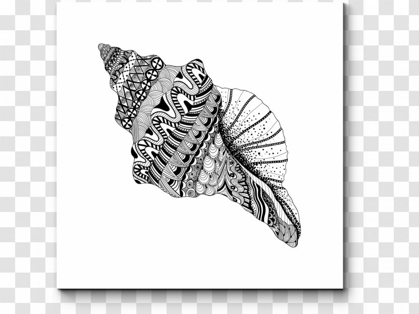 Seashell Drawing Vector Graphics Coloring Book Illustration - Moths And Butterflies Transparent PNG