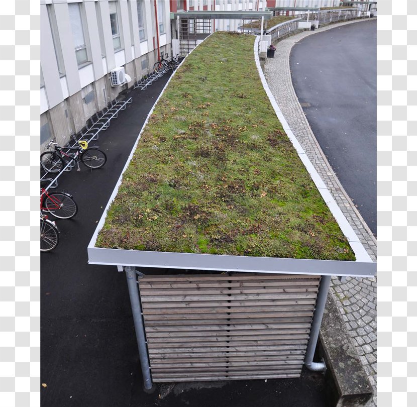 AB Blidsbergs Mekaniska Verkstad Bicycle Parking Rack Roof Svensk Byggtjänst - Plant - Sedum Transparent PNG