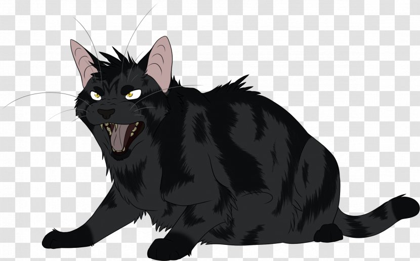 Domestic Short-haired Cat Warriors Darkstripe Whiskers Transparent PNG