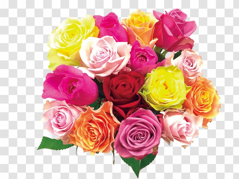 Garden Roses Cabbage Rose Floral Design Cut Flowers - Mother's Day Specials Transparent PNG