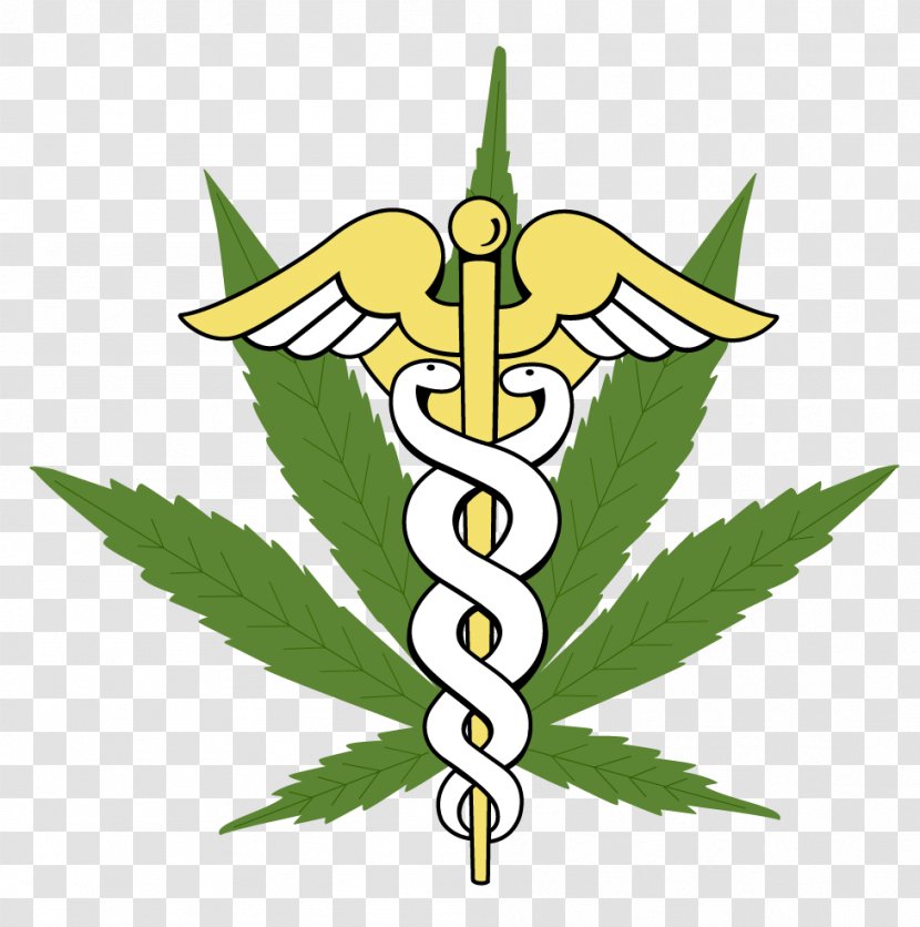 Medical Cannabis Medicine Marijuana Card Legality Of - Flower Transparent PNG