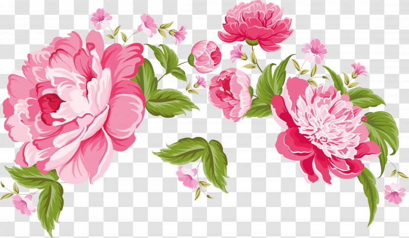 Flower Painting Floral Design Clip Art - Rose Order - Fuchsia Frame Transparent PNG
