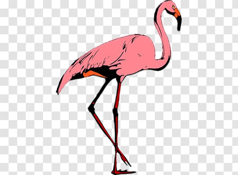 Crane Flamingos Bird Stork Clip Art Transparent PNG