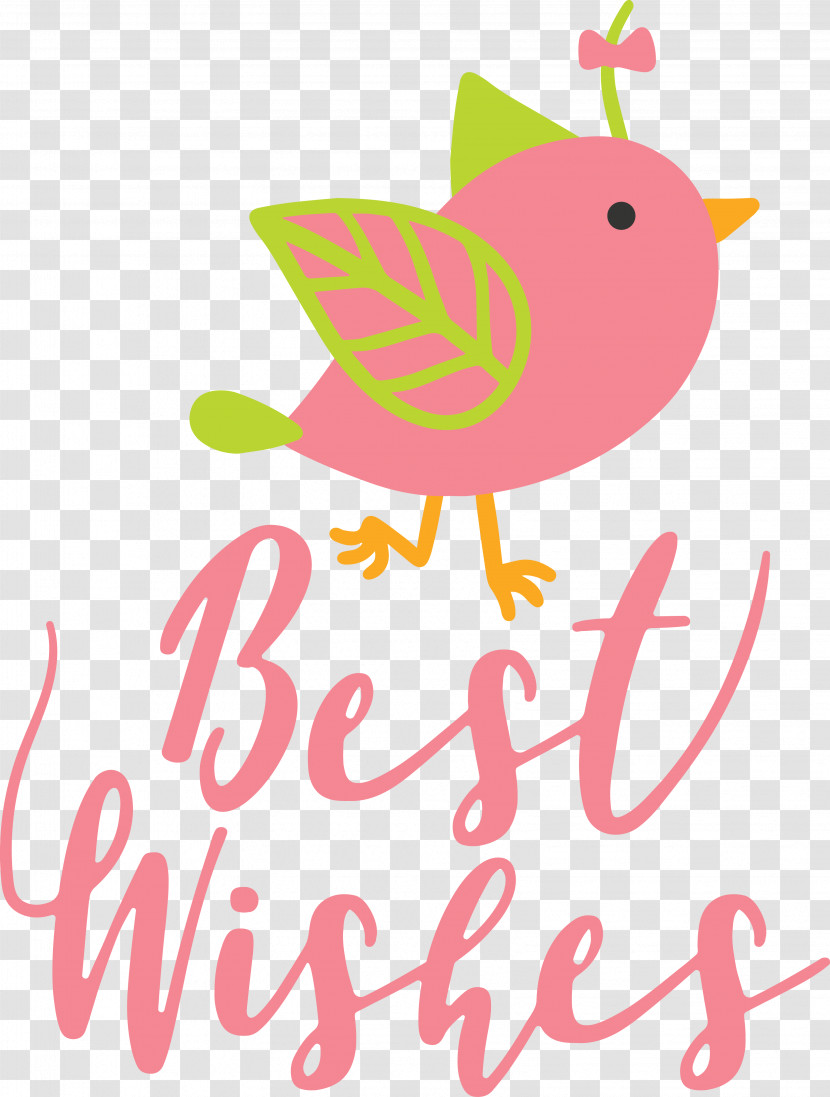 Birds Logo Beak Pink M Meter Transparent PNG