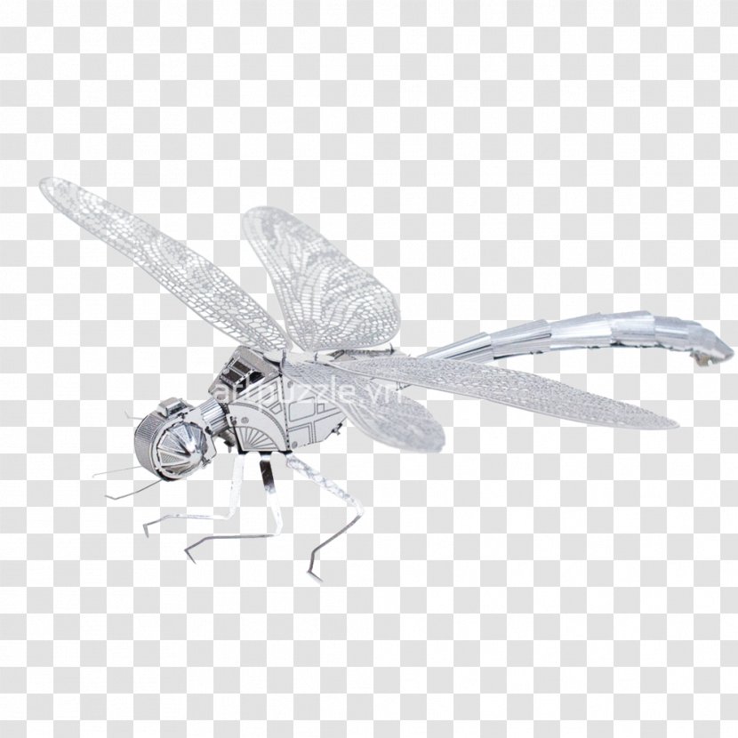 Dragonfly Insect Butterfly Wing Butterflies And Moths - Pest - Chuồn Transparent PNG